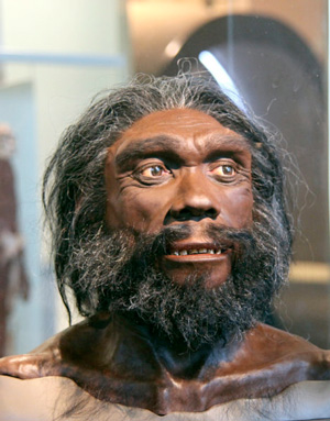 Homo heidelbergensis (муляж). Национальный музей естественной истории (США) («ТрВ» №13(282), 02.03.2019)