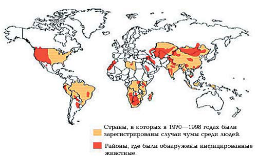 Распространение чумы на земном шаре, 1998 год