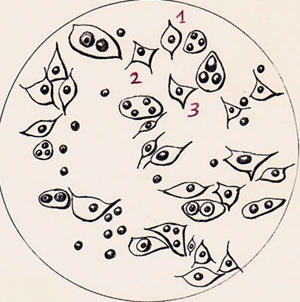 "Думай, что говоришь!" ("Наука и жизнь", №8, 2015)