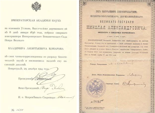Уведомление о присвоении Комарову звания члена-корреспондента Академии наук и диплом доктора ботаники Комарова («Природа» №3, 2020)