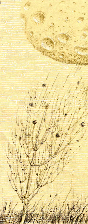 Рисунок П. Перевезенцева («Химия и жизнь» №2, 2020)