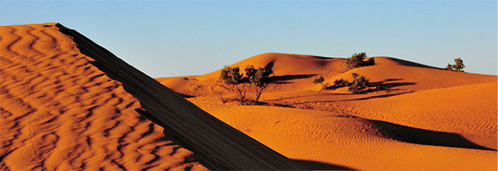 Пустыня Сахара