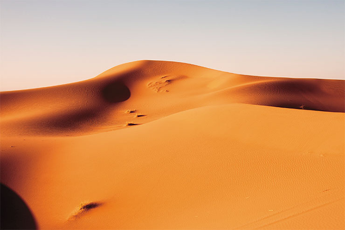 «Эффект бразильского ореха» 7