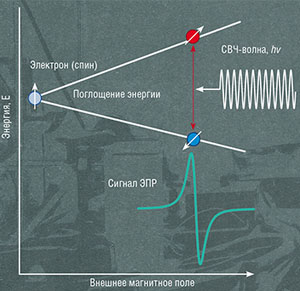 Как получается простейший спектр ЭПР? («Наука из первых рук» №4, 2020) 