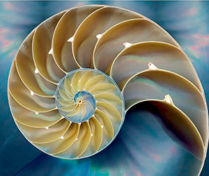 Этюд о спиралях 5