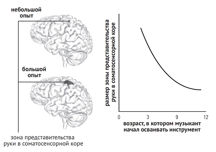 Эвелин Кроне