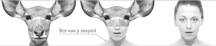 «ТрВ» №11(230), 06.06.2017