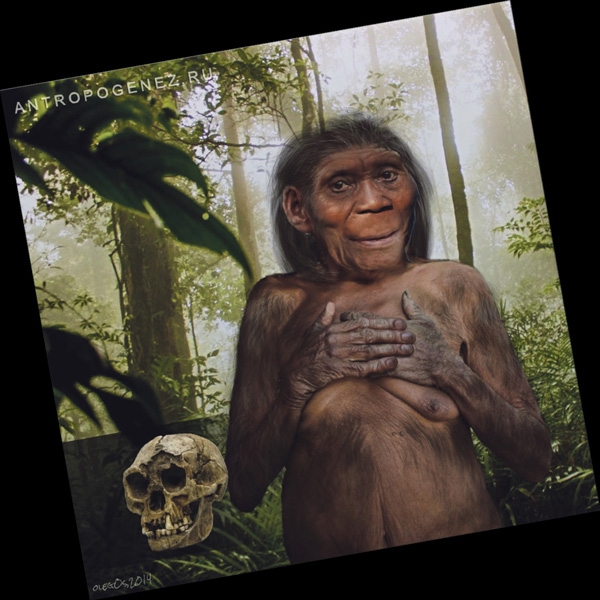 Реконструкция Homo floresiensis, автор Олег Осипов