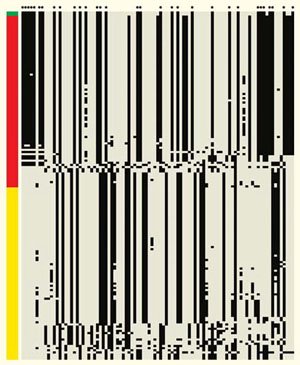 Рис. 5. Варианты гена EPAS1 («Природа» №1, 2016)