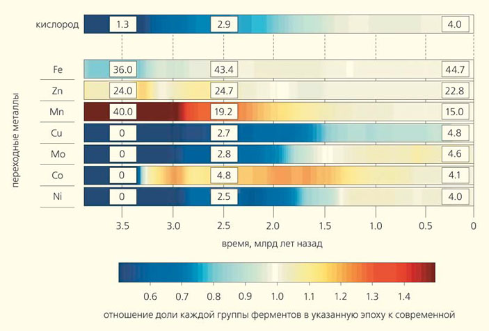 Рис. 1. Относительная доля ферментов, связывающих кислород или использующих в качестве кофакторов различные переходные металлы, в разные геологические эпохи («Природа» №12, 2015)