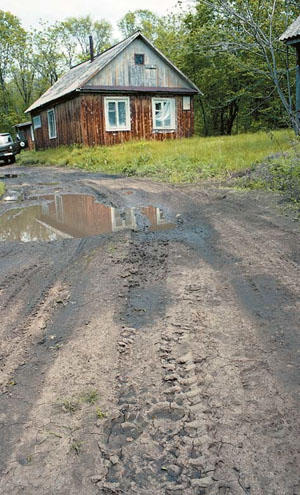 Следы гималайского медведя («Природа» №4, 2017)