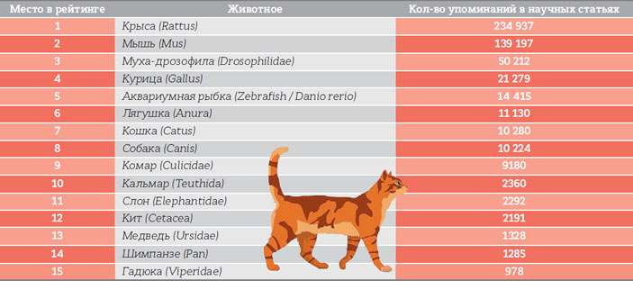 Животные, используемые в научных исследованиях, в порядке убывания популярности («Кот Шрёдингера» №7–8, 2017)