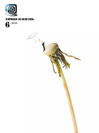 «Химия и жизнь» №6, 2016