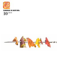 «Химия и жизнь» №10, 2016