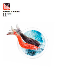 «Химия и жизнь» №11, 2021