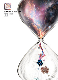«Химия и жизнь» №11 2025