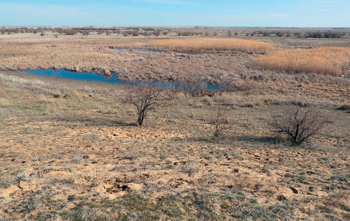 Долина р. Илек, левого притока р. Урал («Природа» №11, 2020)