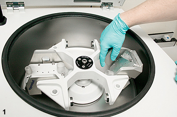 <b>1.</b> Силиконовый слой служит кровеносной системой чипа и содержит рисунок из мельчайших каналов глубиной всего 100 мкм. Чтобы изготовить его, в металлическую форму с выпуклым рисунком (те самые 100 мкм) закладывают пластину из поликарбоната. Форма закрывается, в нее вставляются воронки с ПДС, и вся конструкция отправляется в подогреваемую центрифугу, тоже разработанную в центре. Там силикон разогревается до 70 градусов, становится жидким и легко занимает свое место между формой и пластинкой.