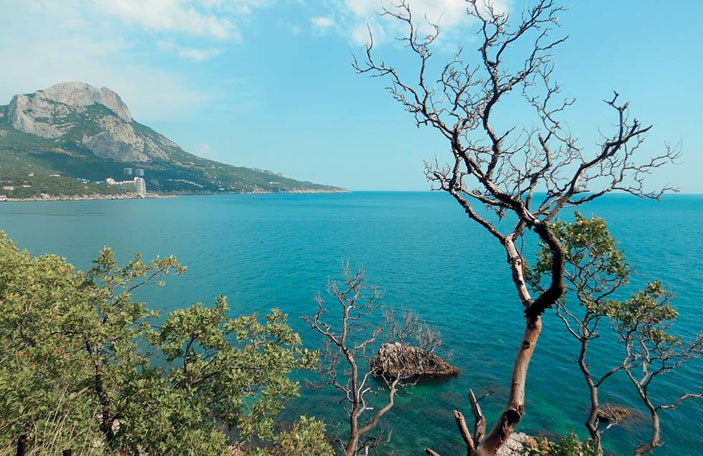 Вид с наблюдательного пункта на бухту Ласпи и поселок Ласпи («Природа» №3, 2019)