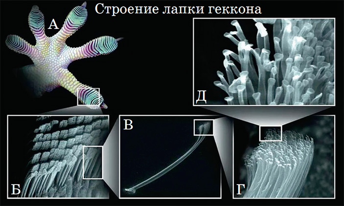 Как бегать по потолку 4