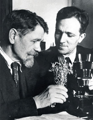 Энтомолог Захар Родионов и Алексей Захваткин («Коммерсантъ Наука» № 15 (3), июнь 2020)