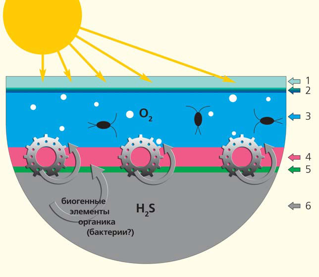 Строение водной толщи отделяющегося водоема («Природа» №1, 2020)