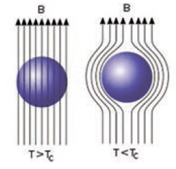 <b>Рис. 1.</b> Магнитное поле огибает маленький образец в момент включения сверхпроводимости