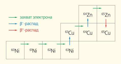 Рис. 5. Схема s-процесса («Природа» №4, 2019)