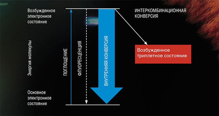 Диаграмма Яблонского («Наука из первых рук» №4(89), 2020)