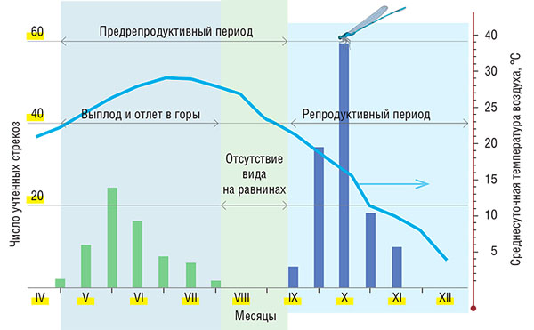 Сезонная динамика численности Sympetrum arenicolor в заповеднике «Тигровая Балка» («Наука из первых рук» №3(63), 2015)