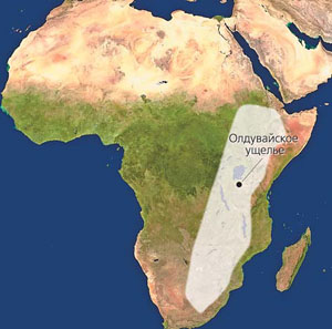 Ареал важнейших материалов, связанных с культурами Homo habilis, H. ergaster и H. erectus, на карте Африки («Природа» №3, 2018)