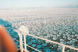 Первый байкальский лед. 1996 год. Фото: «Наука и жизнь» 