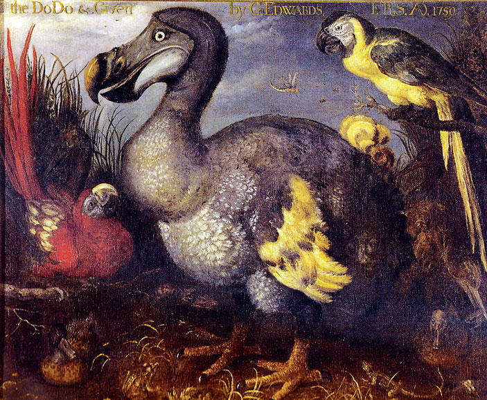 Картина Р. Саверея (1626)