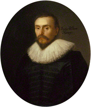 Уильям Гарвей (William Harvey), 1578–1657