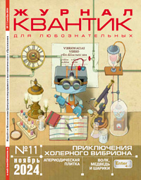 «Квантик» №11, 2024