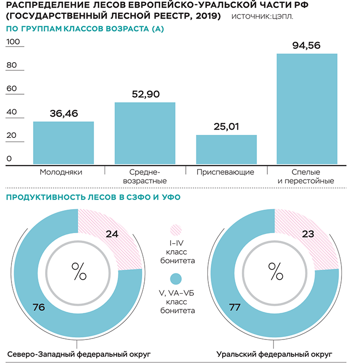 Лесам выдают паспорта 