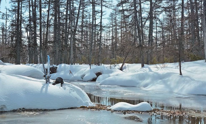 Ручей Неутер («Природа» №4, 2018)