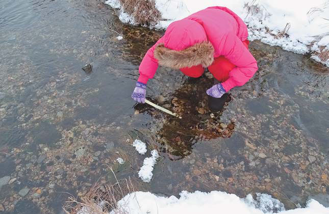 Измерение лютиков в ноябре («Природа» №4, 2018)