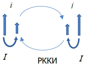 Схема возникновения косвенного обмена РККИ («Коммерсантъ Наука» №6, сентябрь 2017)