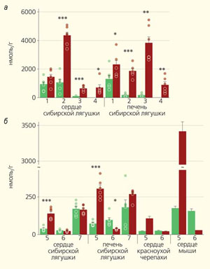 Рис. 3. Концентрации глюкозы, продуктов гликолиза и компонентов цикла Кребса («Природа» №11, 2020)