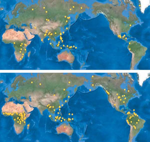 Рис. 3. Мотивы о происхождении человека, предположительно существовавшие более 50 тыс. лет назад («Природа» №10, 2017)