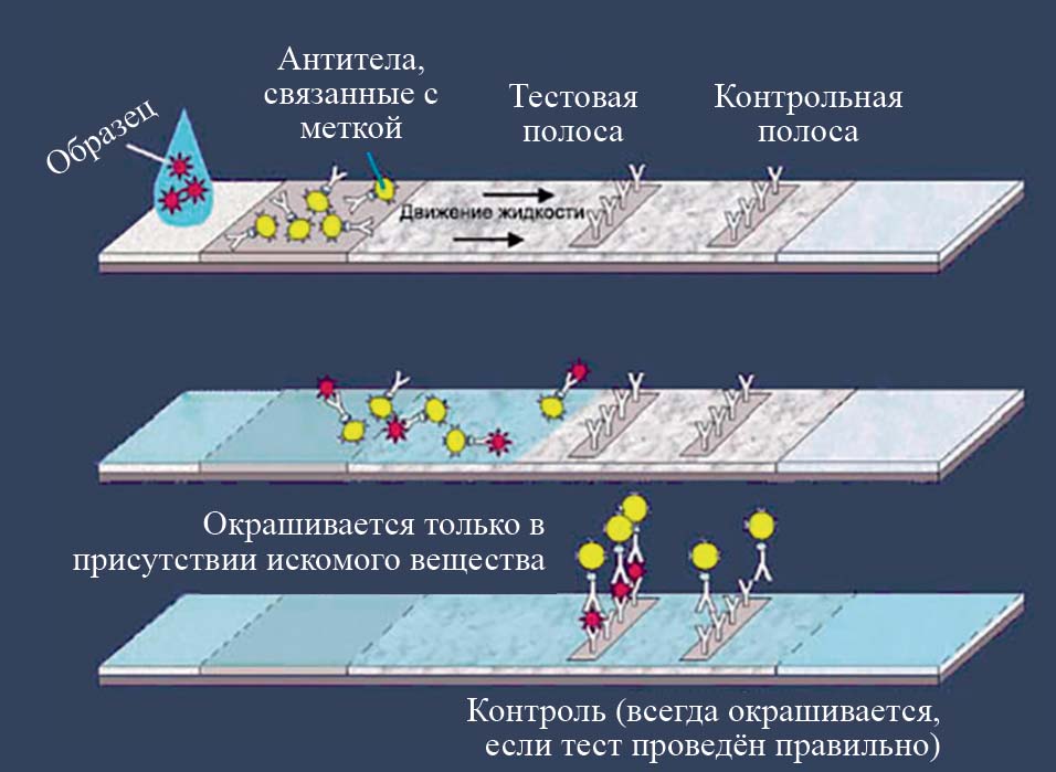 Диагностический тест