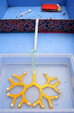 Вид экспериментальной арены («Коммерсантъ Наука» №13, апрель 2019)