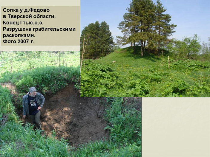 Сопка у д. Федово в Тверской области («Троицкий вариант» №5, 2019)