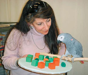 Алекс усвоил числительные от 1 до 7 и применял их к множествам разной природы («Природа» №10, 2018)