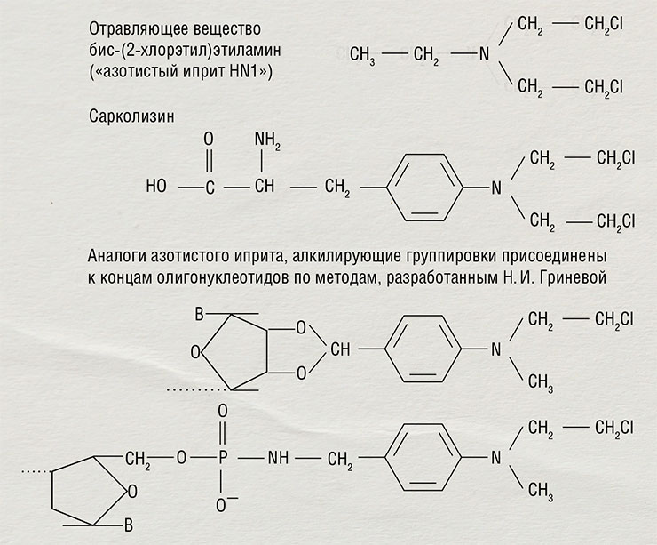 Оказалось, что, изменяя структуру молекулы иприта, можно снизить его токсичность и присоединить к ней различные химические группировки. В результате удалось создать противораковый препарат сарколизин, который применяется химиотерапевтами и в наши дни