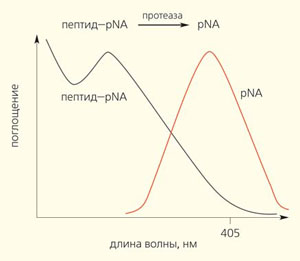Рис. 11. Принцип определения активности протеолитического фермента с помощью хромогенного субстрата («Природа» №7, 2016)