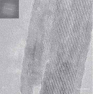 <b>Рис. 3.</b> Нановолокна цементита, заключенные в углеродные нанотрубки, в образце дамасской стали после травления соляной кислотой (получено методом электронной микроскопии). Изображение: «Химия и жизнь»
