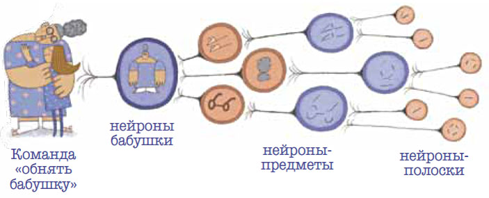 Нейроны моей бабушки. Художник Е. Цветаева («Квантик» №2, 2016)