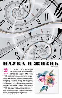 «Наука и жизнь» №2, 2019